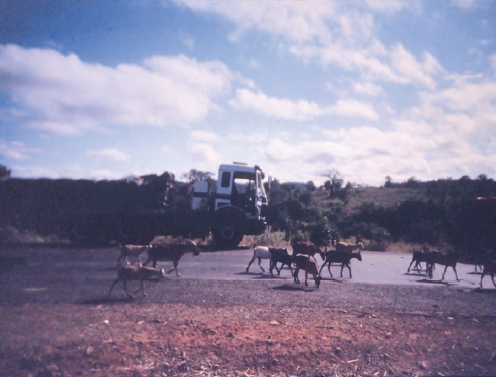 Summer 2025 - Mungzu Part 1