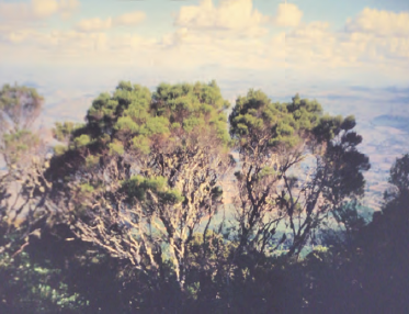 Summer 2025 - Mungzu Part 1