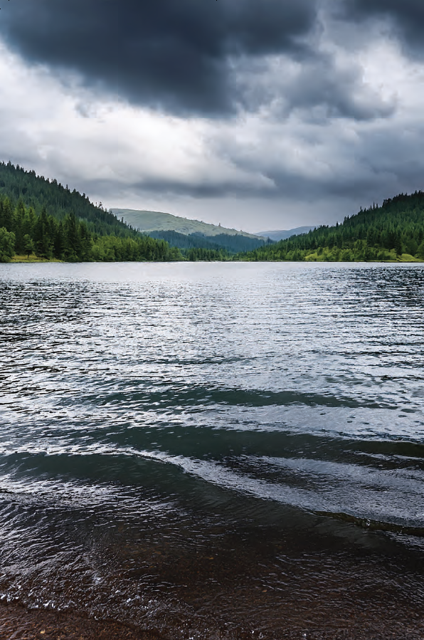 Winter 2025 - Kyle, the Human Torpedo