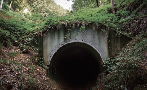 Winter 2025 - Frederick Sengmueller