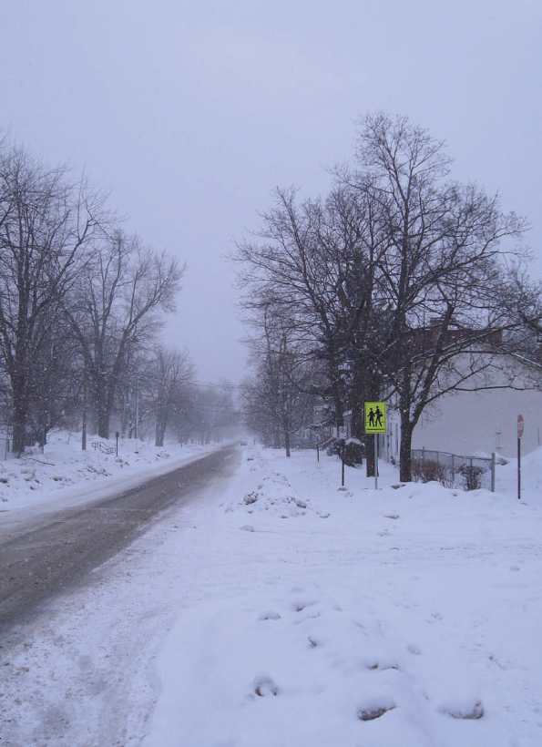 Fall 2025 - A Creature Comfort