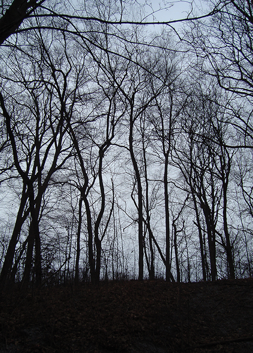 Spring 2021 - Rocks, Bullets, and Scissors