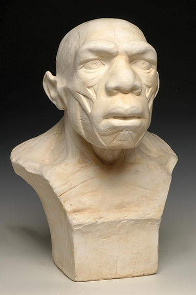 Summer 2021 - The Neanderthal Within Us