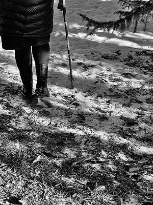 Spring 2023 - I Walk with a Stick