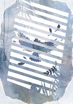 Spring 2023 - Wild Pigeons