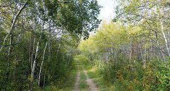 Spring 2023 - Populous