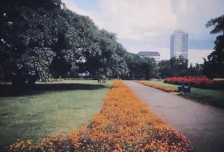Summer 2023 - Waiting in Harare