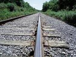 Winter 2023 - The Red Oriental