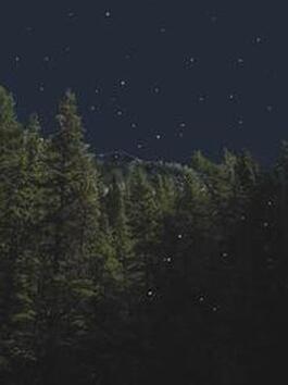 Spring 2024 - Eyeshine