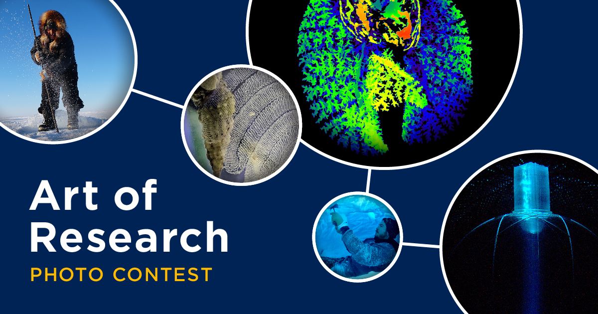 [Art of Research photo contest graphic]