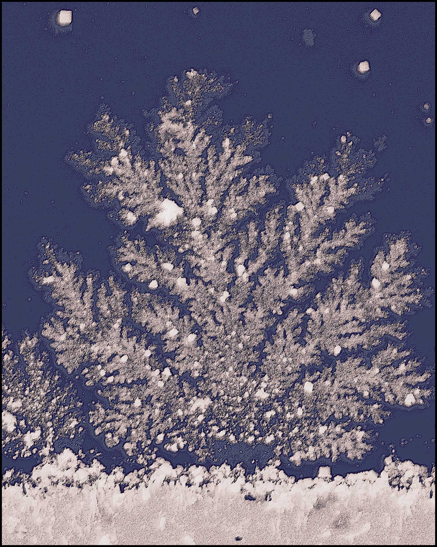 A Sensing Micro-Christmas Tree