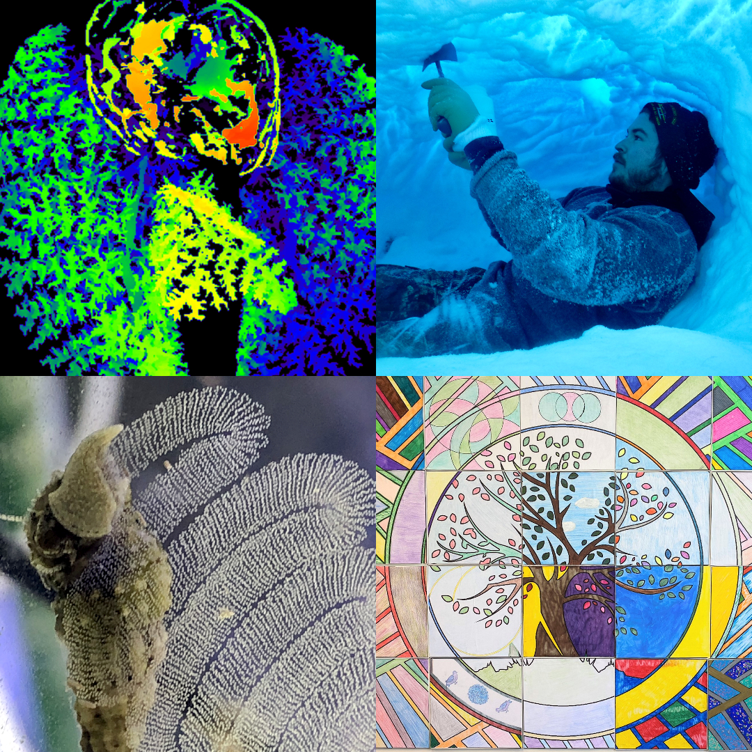 [4 winning images from the 2022 Art of Research photo contest]