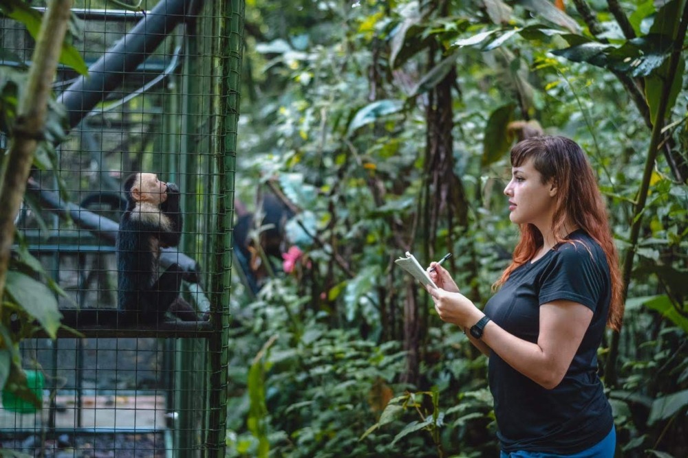 [Photo of a researcher and a capuchin monkey making eye contact by Siobhan Speiran]