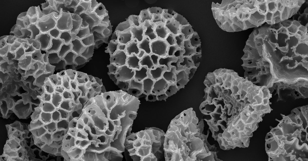 P. Andrew Evans has discovered wrapping antibiotics in pollen could protect them from light.