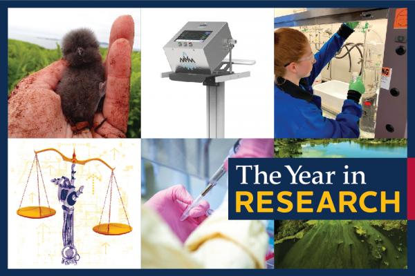[The Year in Research]