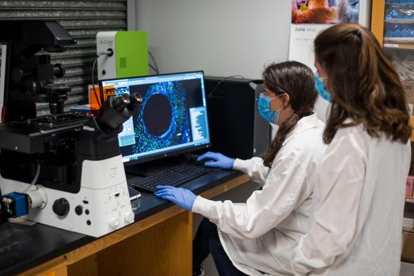 Researchers working on a computer