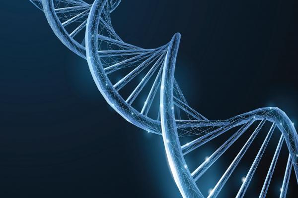 [Illustrative image of DNA strand]