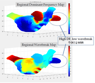 Wavebreak heart map