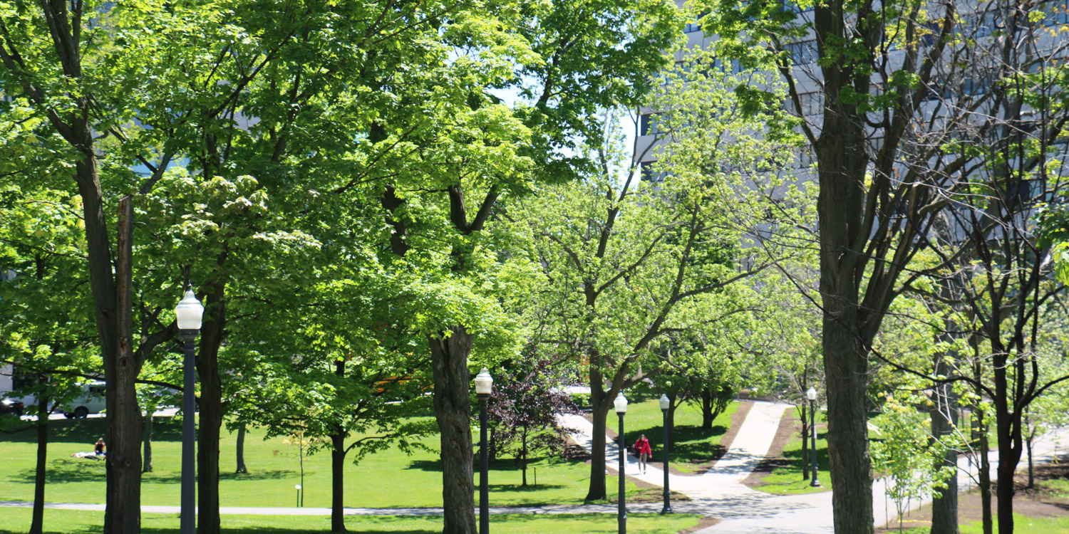 Queen's University green campus
