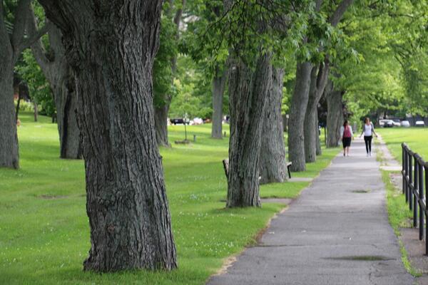 Students walking on the waterfront