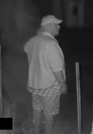Image of person of interest, wearing a ball cap, buttoned shirt, and patterned shorts