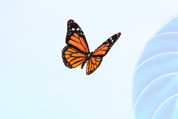 Sensory Friendly Science Zone