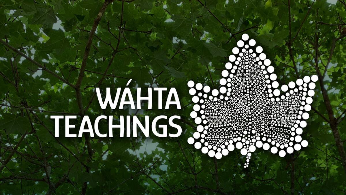 Wahta Teachings
