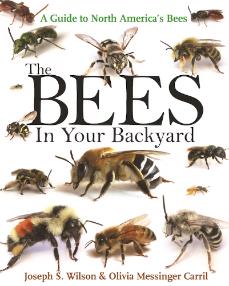 The Bees in Your Backyard, by Joseph S. Wilson & Olivia Messinger Carril