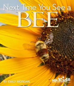 The Next Time You See a Bee, by Emily Morgan