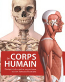 Le corps humain : comprendre notre organisme et son fonctionnement par Serge D’Amico et Anouk Noël (illustrations)