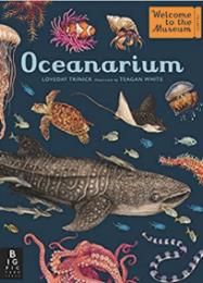 Oceanarium: Welcome to the Museum, by Loveday Trinick & Teagan White (ill.)