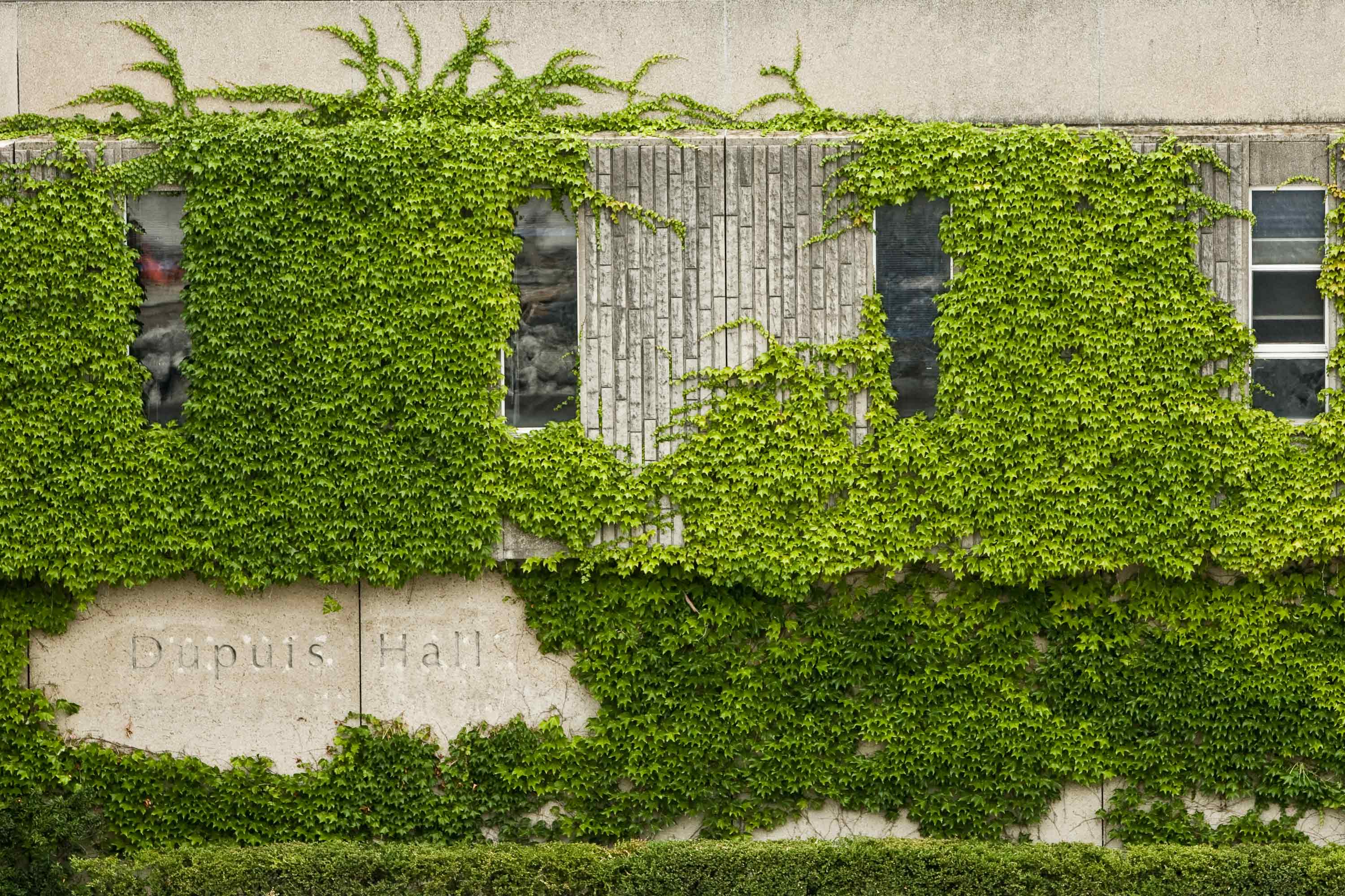 Outside wall of Dupuis Hall covered in vines