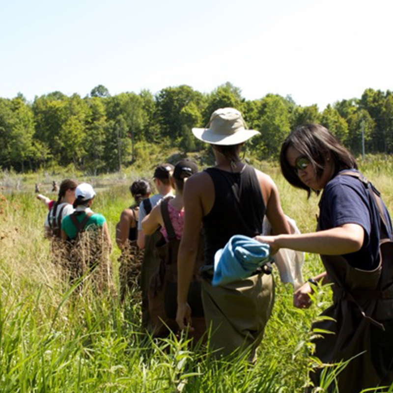 Queen's researchers exploring grassy field