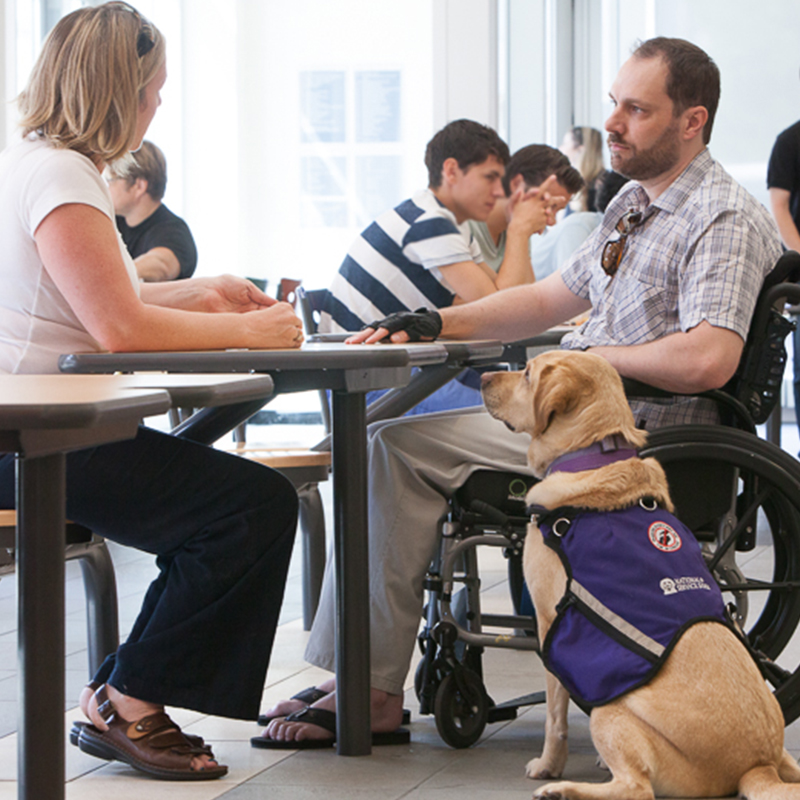 Two people sitting at a desk talking with service dog sitting below