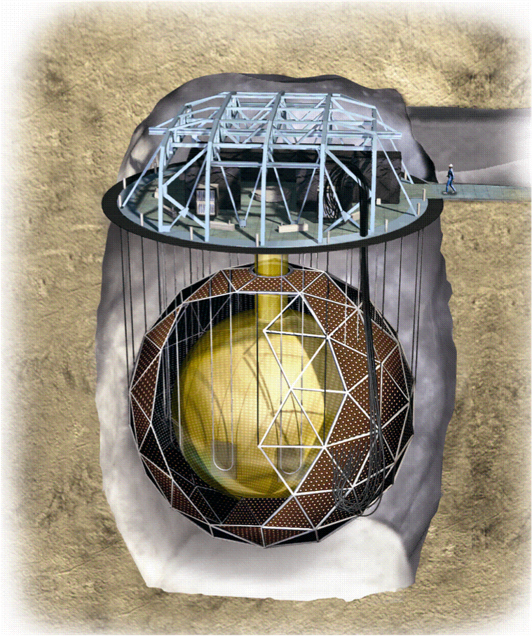 SNO+ Detector