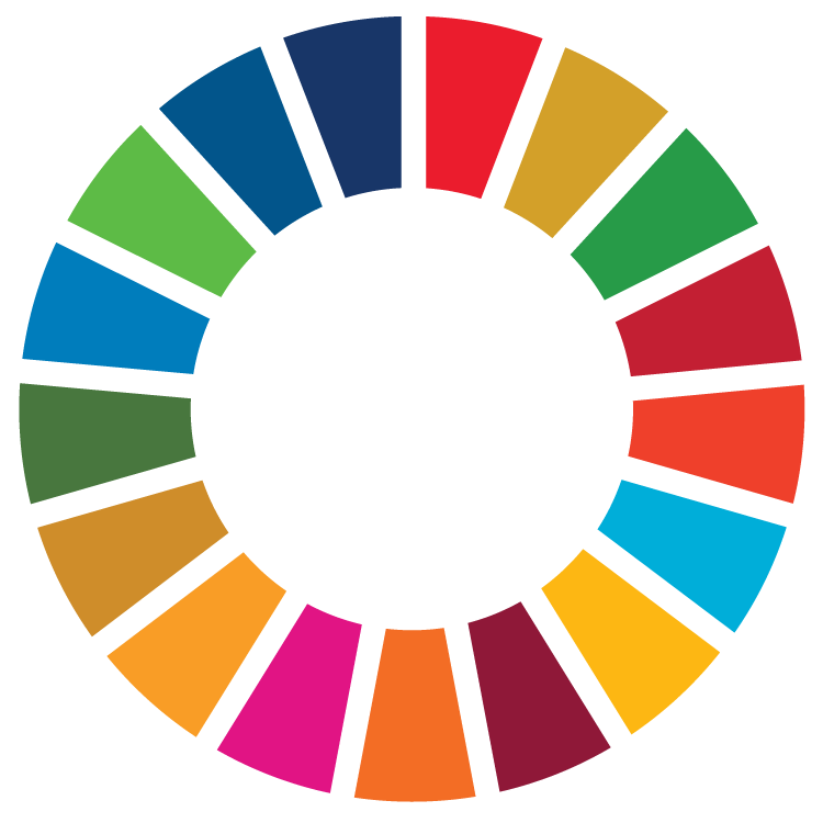 SDG Colour Wheel Logo