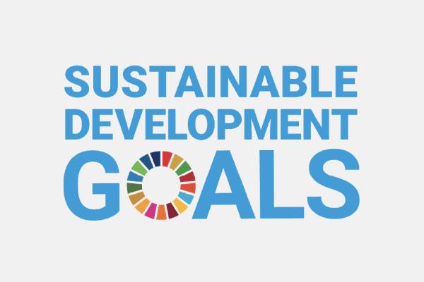 [Text: Sustainable Development Goals with the UN SDG logo]
