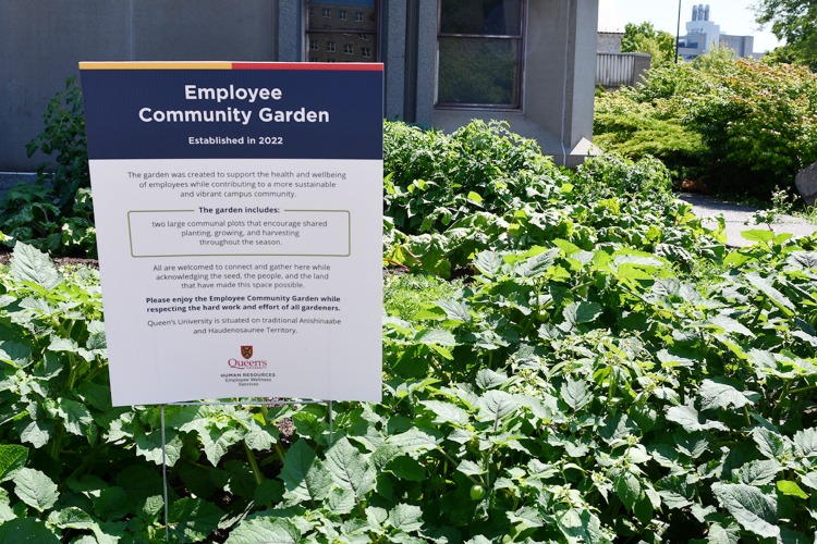 [Photo of Queen's Employee Community Garden including a posted sign]