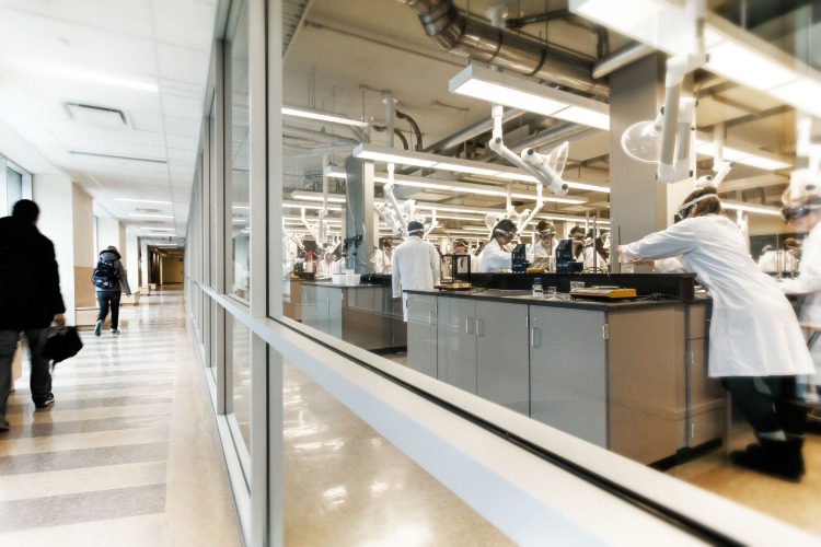 [Photo of students working in a Queen's lab]