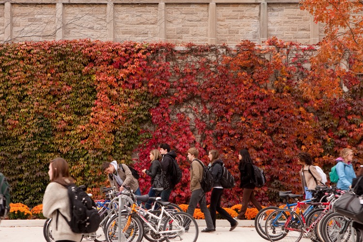 [Photo of students walking along University Ave. against a backdrop of fall leaves and ivy]