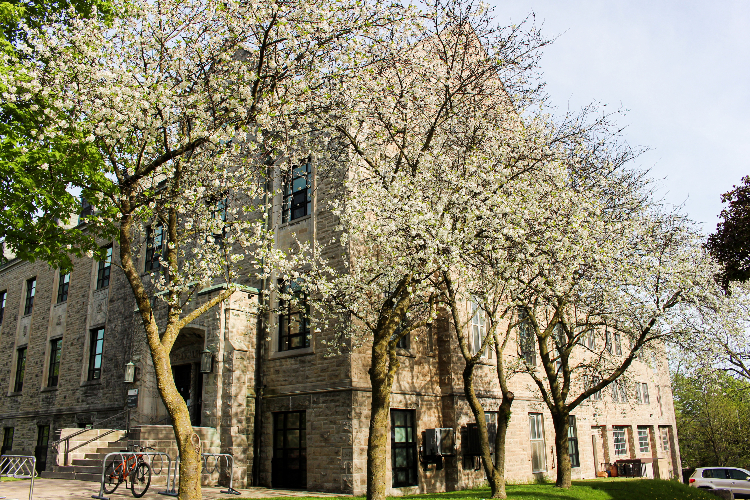 [The exterior of McLaughlin Hall captured during springtime.]