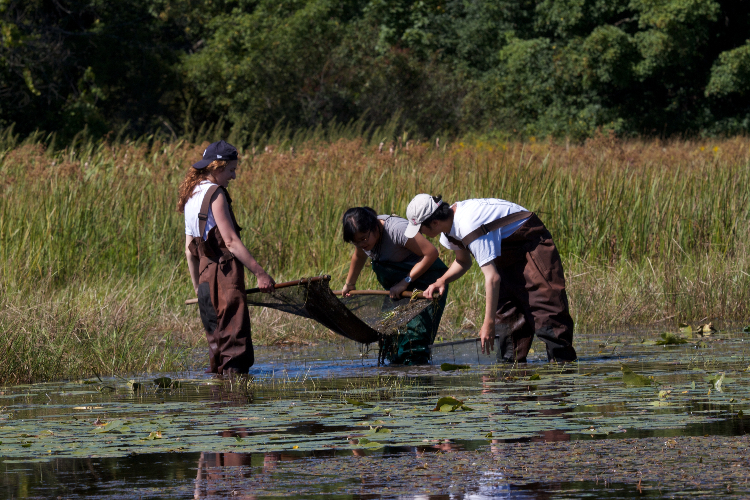 [A group of students collect samples in the water near Queen’s University Biological Station.]