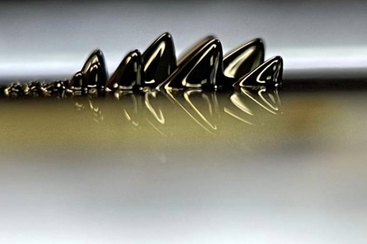 [Ferrofluid spikes under magnification produced by placing a magnet under a sample of ferrofluids.]