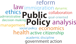 Public Policy word cluster (jpg)