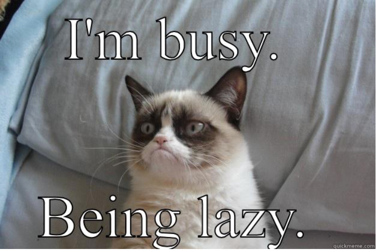Cat image with text "I'm busy being lazy"