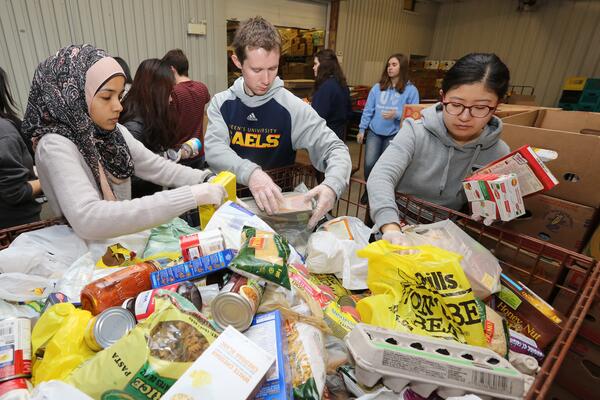 Three students sorting through packages of food at the food bank