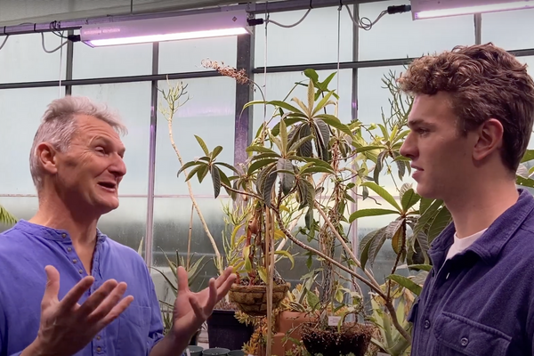Olin and Professor discussing in front of plants 