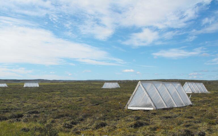 Some of the 10 replicate greenhouse and associated control plots at Daring Lake that have plastic covering installed for each summer