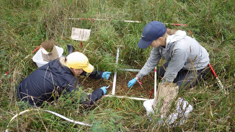 Meghan and Kayley in mid-harvest (late summer 2020)