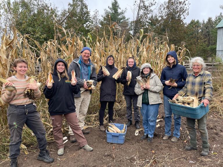 Corn seed harvest complete